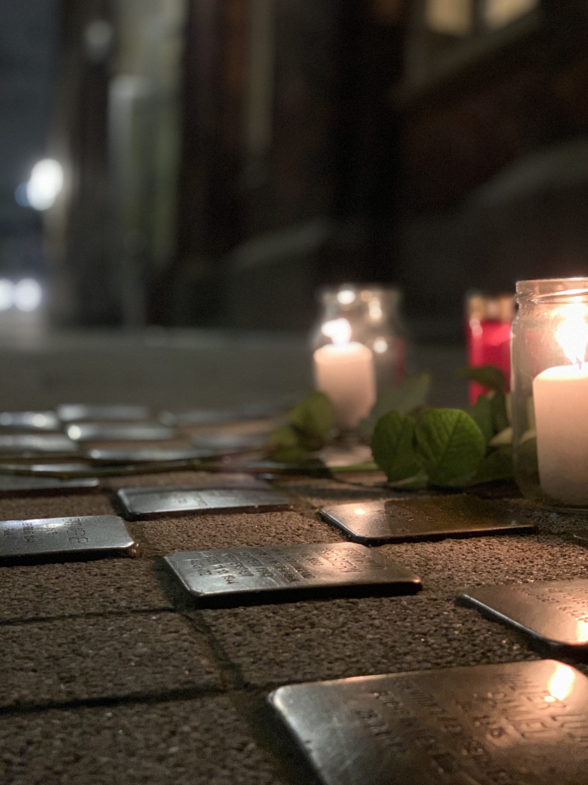 Stolpersteine vor der patriotischen Gesellschaft Hamburg