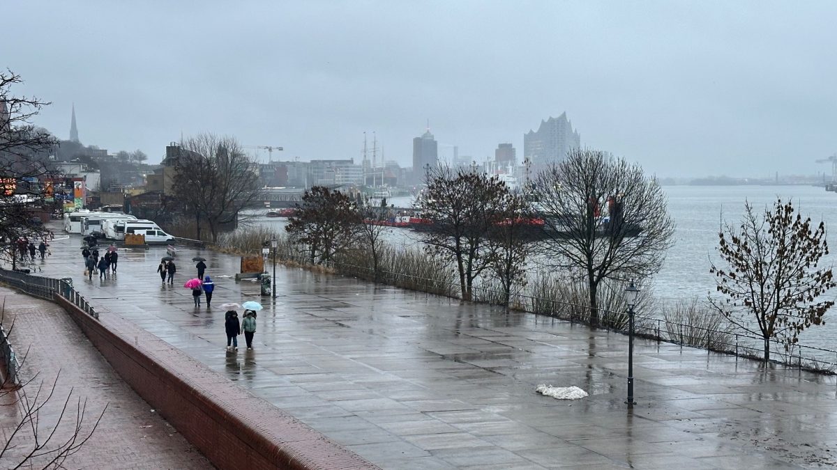 Das Foto zeigt den Teil der Elbkante zwischen Strand Pauli und Fischauktionshalle. Im Hintergrund erkennt man die Elphi.